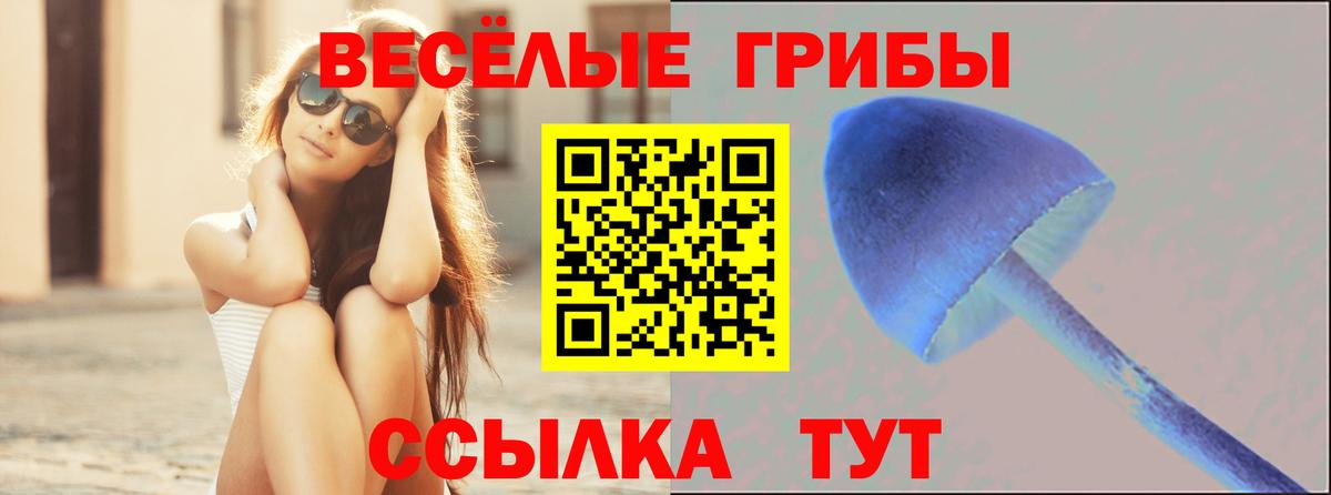 Псилоцибиновые грибы прущие грибы Верхняя Пышма